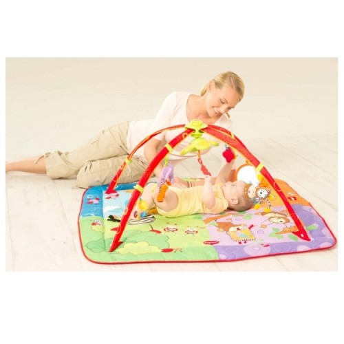 tiny love move and play