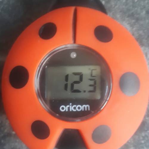 oricom duck thermometer