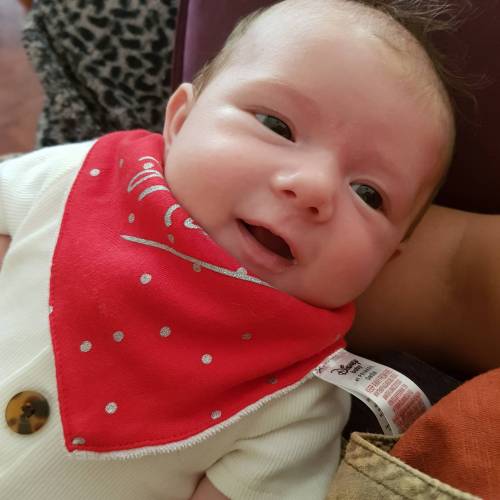 lactose free formula reviews