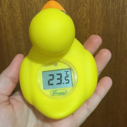 dreambaby duck bath thermometer