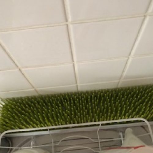 boon patch countertop drying rack