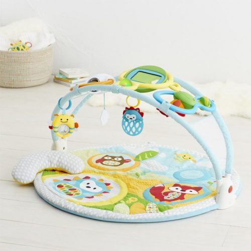 skip hop explore and more amazing arch activity gym