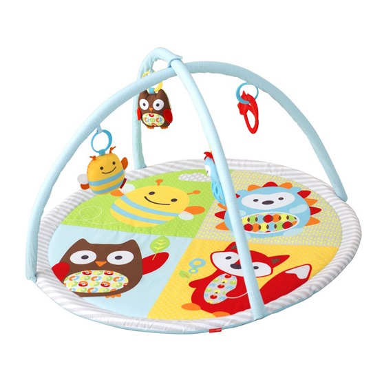 Skip Hop Explore Funscape Gym Reviews Tell Me Baby