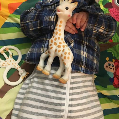 sophie the giraffe reviews