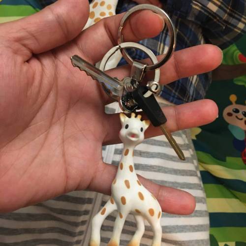 sophie the giraffe reviews