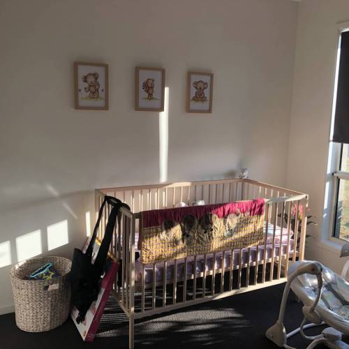 IKEA SNIGLAR Cot Reviews & Opinions Tell Me Baby