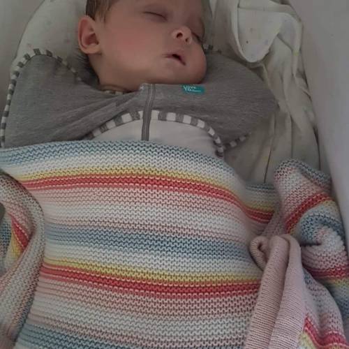 love to dream hip harness swaddle