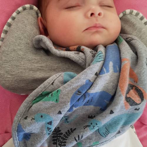 love to dream hip harness swaddle