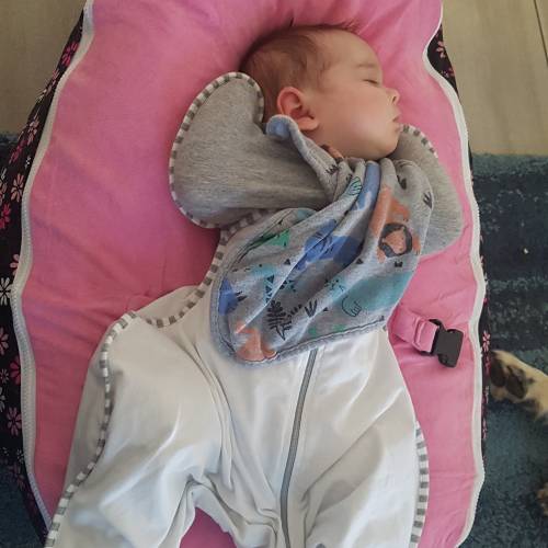 love to dream hip harness swaddle