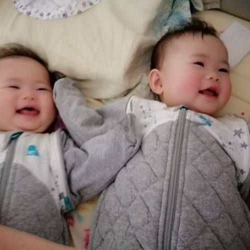 love to dream 2.5 transition