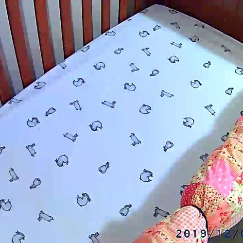 kodak cherish c525 australia