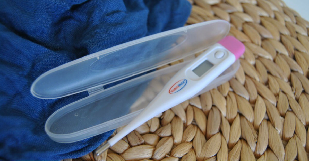 Best ovulation tests 2023 compare ovulation tests Tell Me Baby