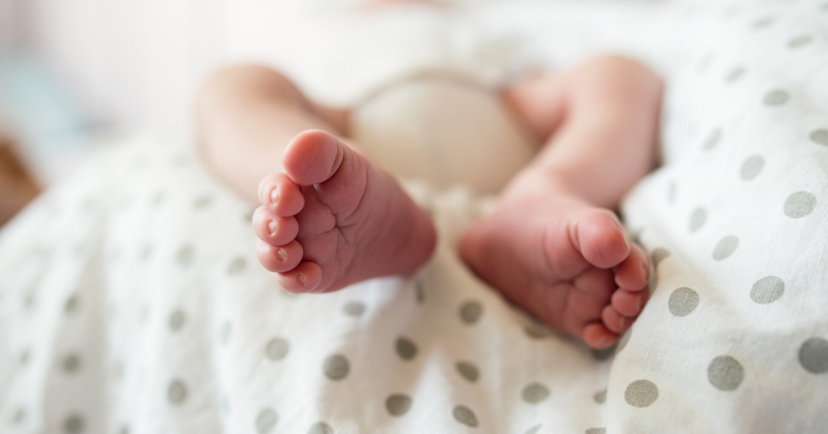 Aggregate 90+ about best nappies australia cool NEC