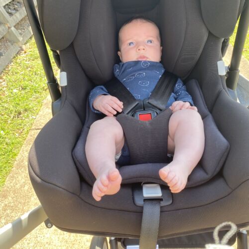 bugaboo turtle review
