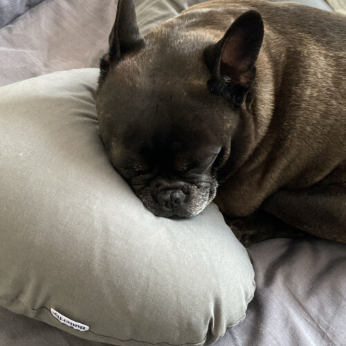 Butterfly Maternity Pillow Reviews Tell Me Baby